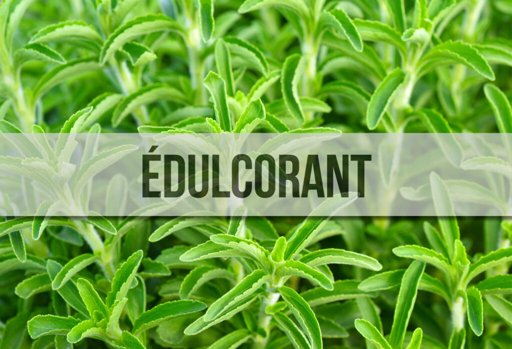 Un champ de stévia et un bandeau au premier plan où il est écrit "Edulcorant".