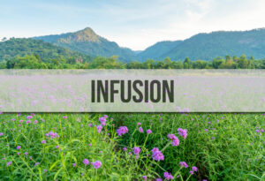 Des champs de verveine dans un paysage montagneux et un bandeau au premier plan où il est écrit "Infusion".